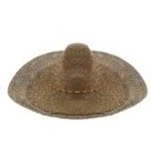 Mexican hat