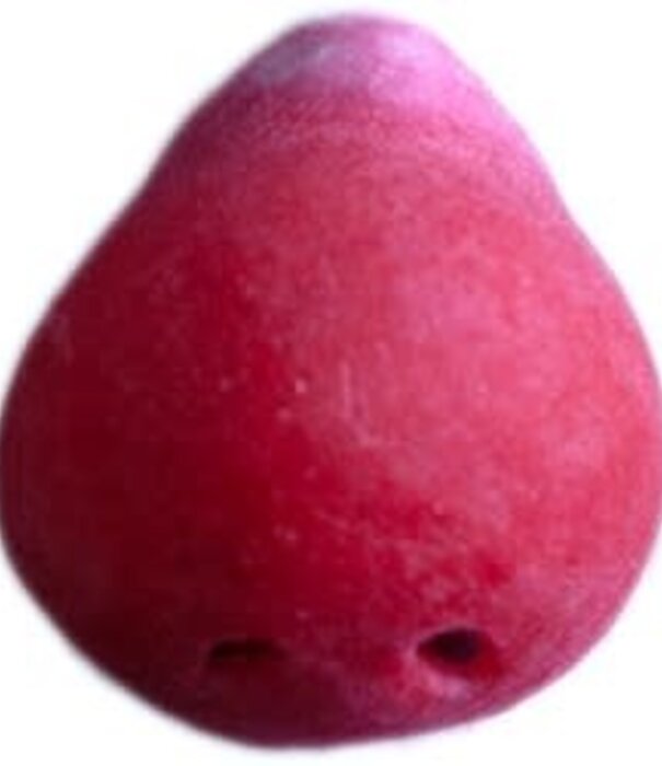 latex nose clown 100