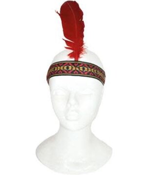 Native American headdress with feather