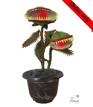 Plante carnivore en mouvement - décoration - en ligne seulement