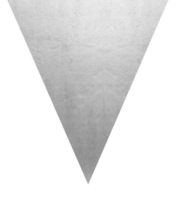 vlaggenlijn zilver 5m