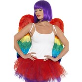 vleugels rainbow (60 x 60cm)