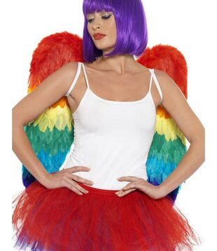 vleugels rainbow (60 x 60cm)