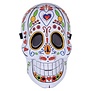 masker Dia de los muertos / day of the dead