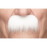 Grandpa's Moustache