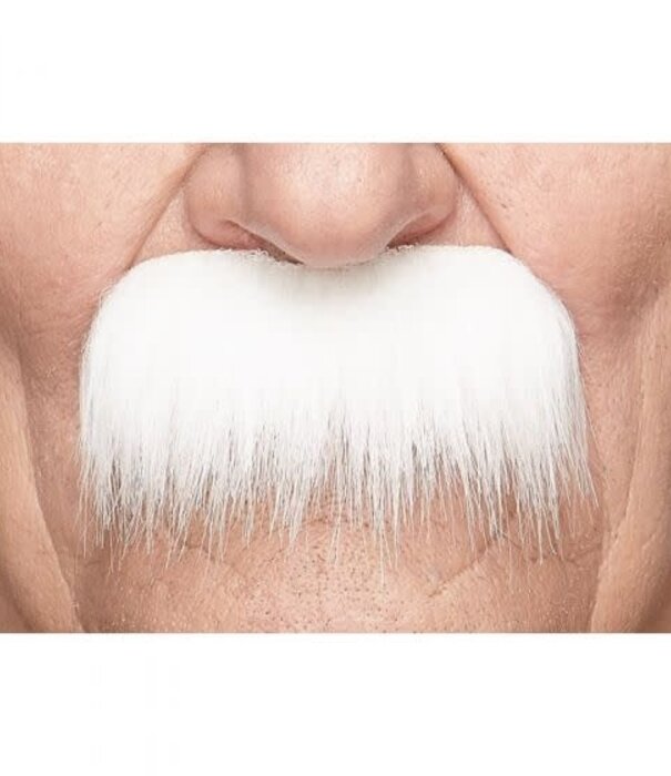 Grandpa's Moustache
