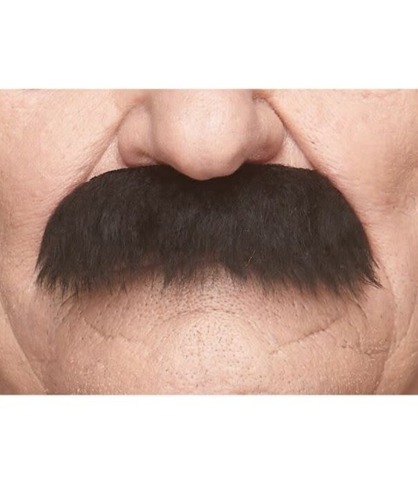 La moustache de grand-père