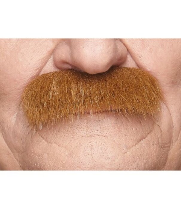 La moustache de grand-père
