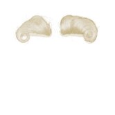 Téléviseur Saint Eyebrows Deluxe