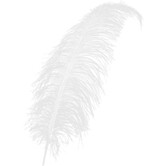 Spadonis feather 50cm