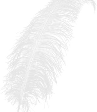 Spadonis feather 50cm