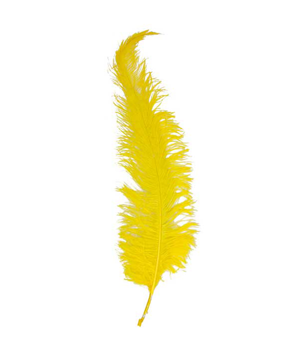 Plume de Spadonis 50 cm
