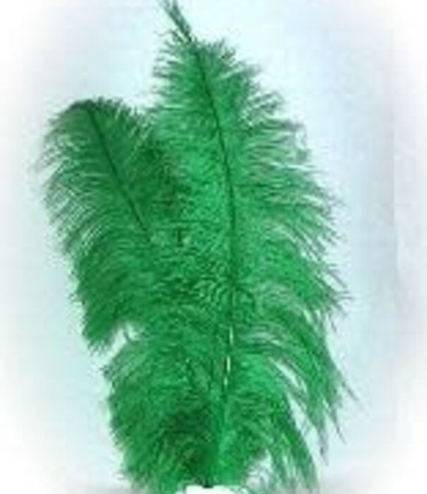 Spadonis feather 50cm