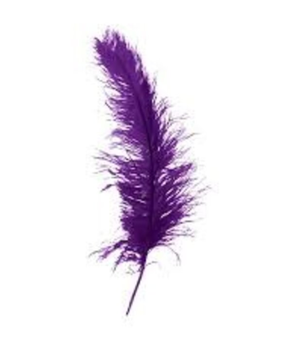 Plume de Spadonis 50 cm