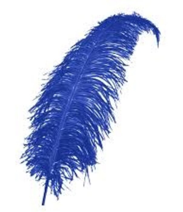 Plume de Spadonis 50 cm