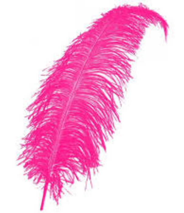 Plume de Spadonis 50 cm