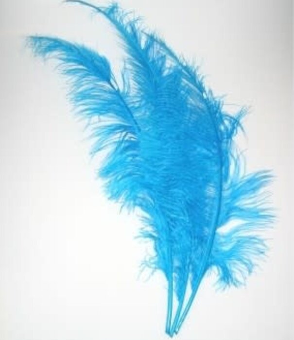Plume de Spadonis 50 cm