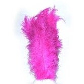 Plume de soie / plume 30cm
