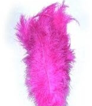 Floss feather / plume 30cm