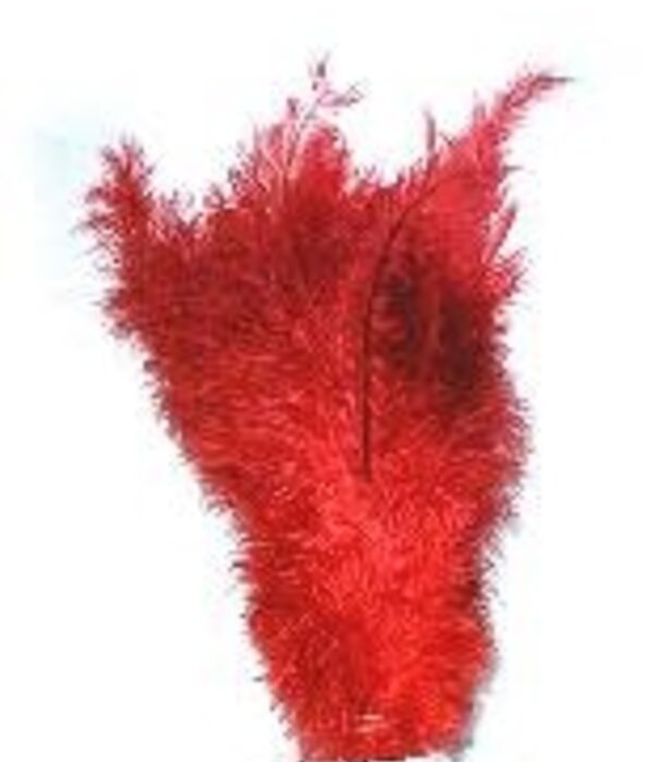 Plume de soie / plume 30cm