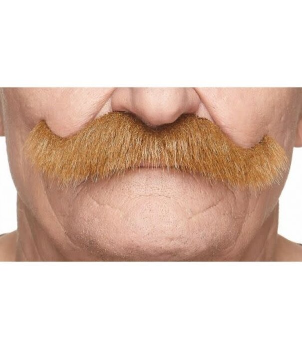 Moustache de grand-père rockeur