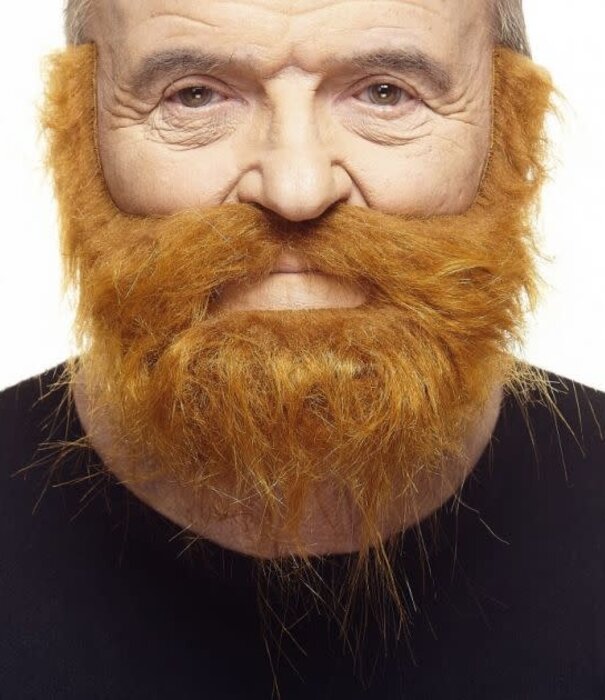 Moustache et barbe