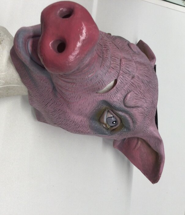 masque de cochon
