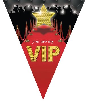 VIP point flags 500 cm