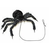 BARGAIN spider (le son ne fonctionne pas)