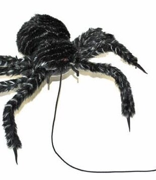 BARGAIN spider (le son ne fonctionne pas)