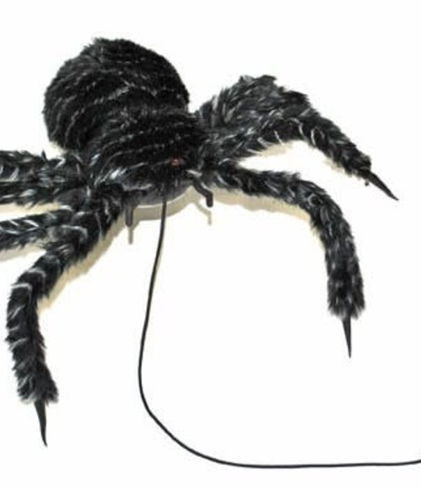 BARGAIN spider (sound not working)