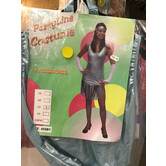 disco dress or charleston