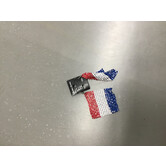 earrings French flag