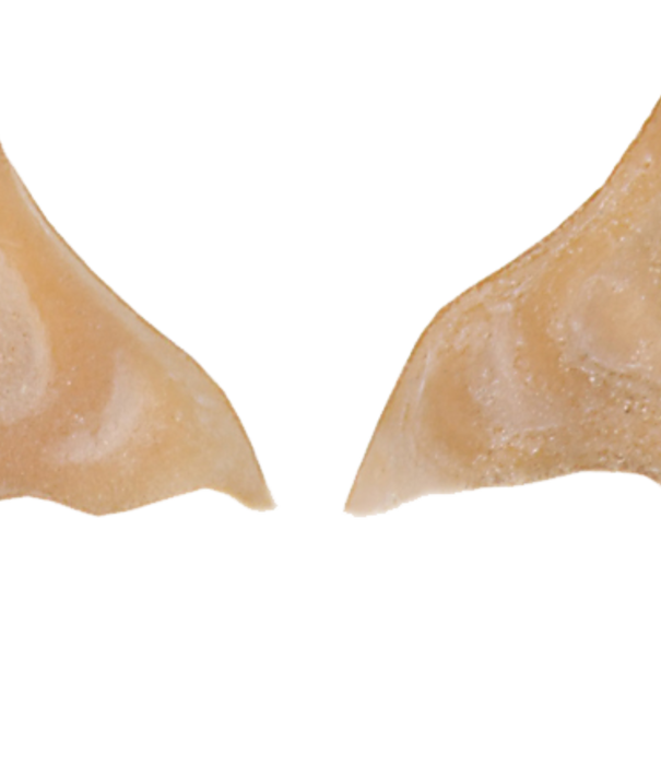 grimas Latex Elf Ears 605