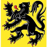 flag Flemish Lion 90 x 150 cm