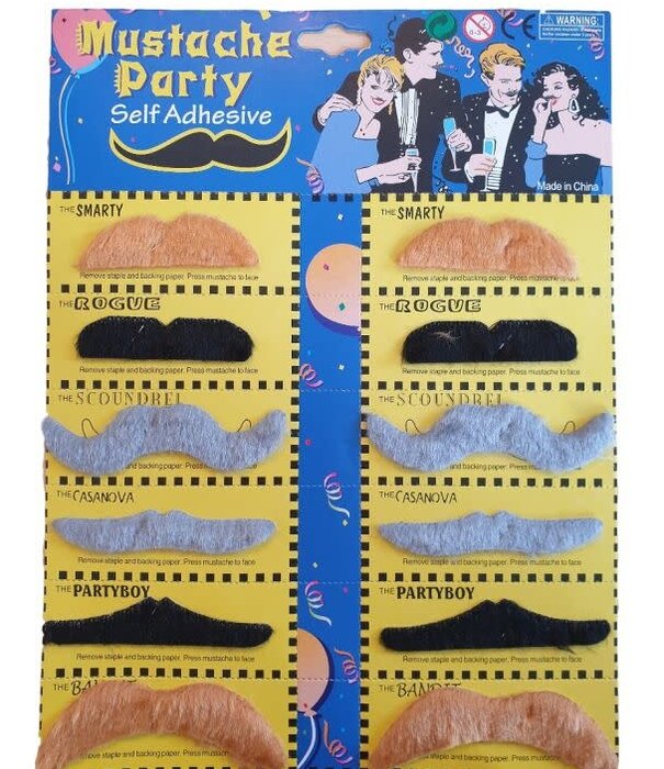 Moustaches multicolor 12 pieces