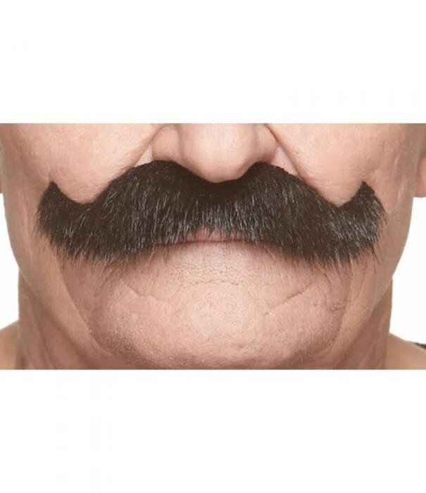 Moustache de grand-père rockeur