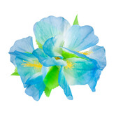 pince à cheveux fleur