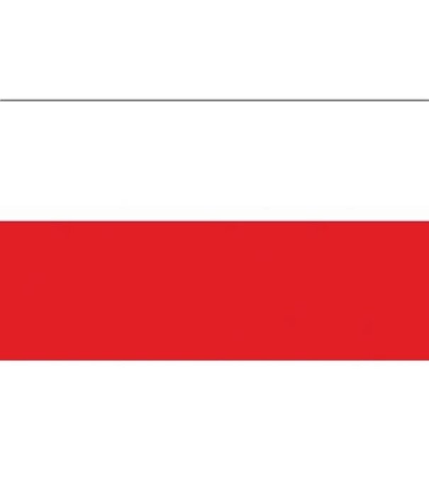 Funny Fashion drapeau Pologne 90 x 150 cm