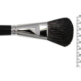 powder brush blush/rouge P10