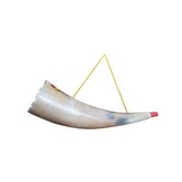 Horn trumpet