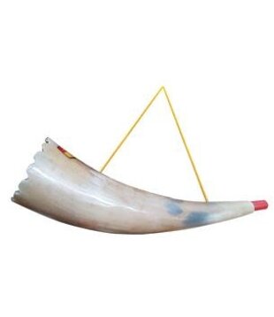 Horn trumpet