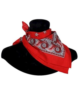 bandana cowboy / cowboy sjaal