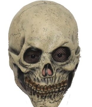 mask skeleton