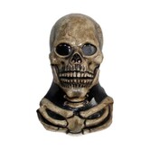 masker skeleton