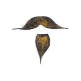 moustache avec bouc