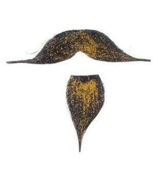 mustache with goatee