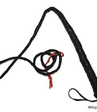 whip 120 cm black