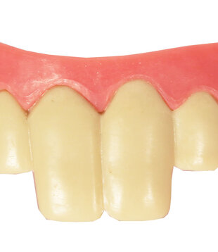 Dents de Lapin Thermoplastique