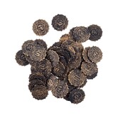 Old coins pirate